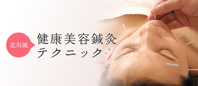 北川毅　健康美容鍼灸テクニック
